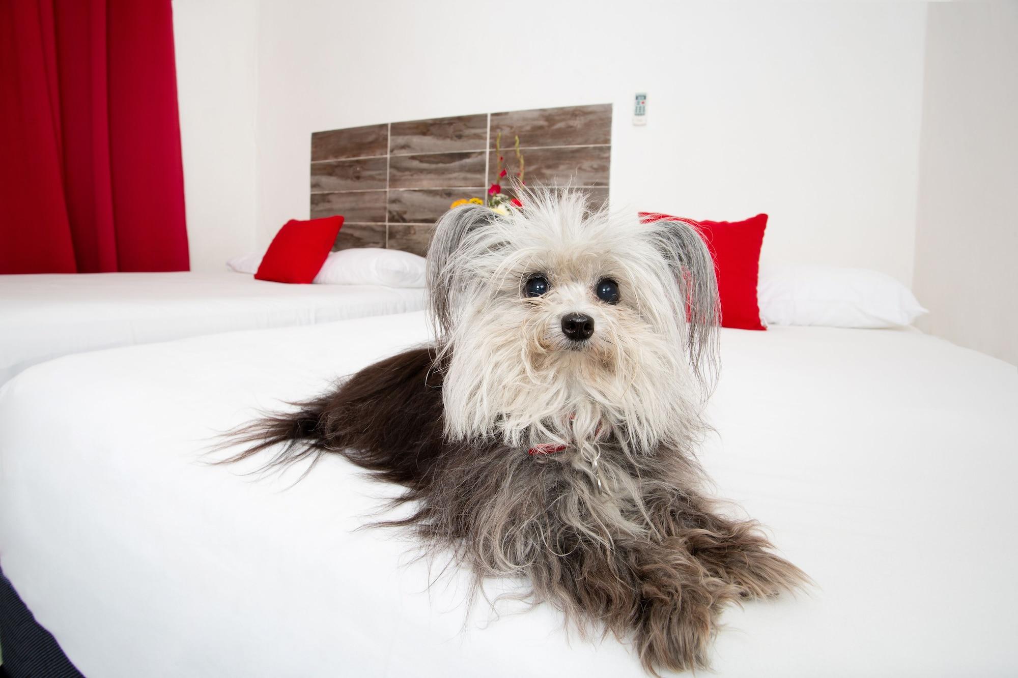 Suite 24 Aparthotel By Xperience Hotels 신데 델 카르멘 외부 사진